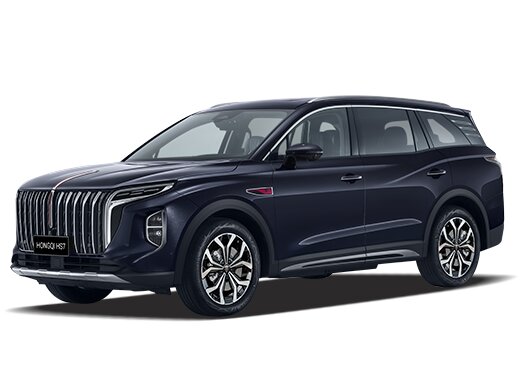 Hongqi HS7 Executive 2.0T/245 8AT 4WD