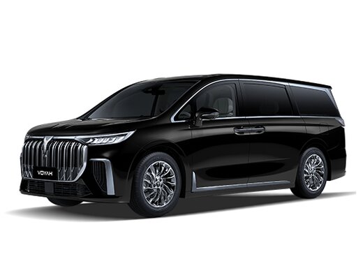 Voyah Dream EVR 1.5ELH/170 43кВт 4WD
